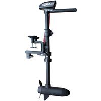 HASWING W-20
