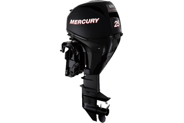 MERCURY F25  EFI