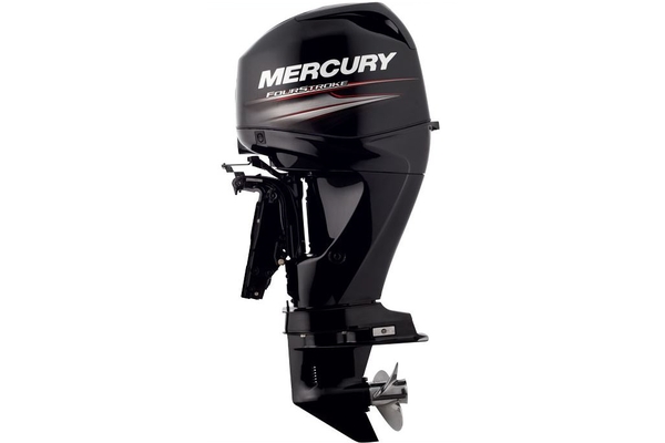MERCURY F40 ELPT EFI
