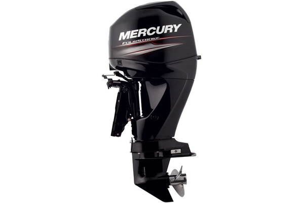 MERCURY F50 ELPT EFI