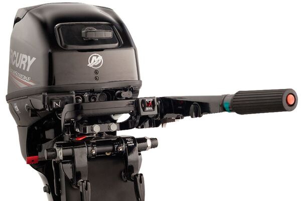 MERCURY F20 EH EFI