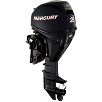 MERCURY F25 ELPT EFI MERCURY F25 ELPT EFI