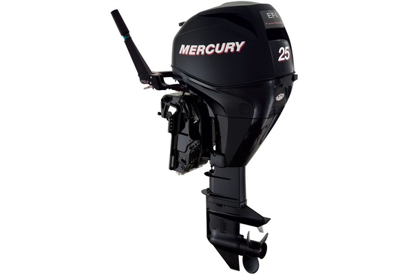 MERCURY F25 ELPT EFI